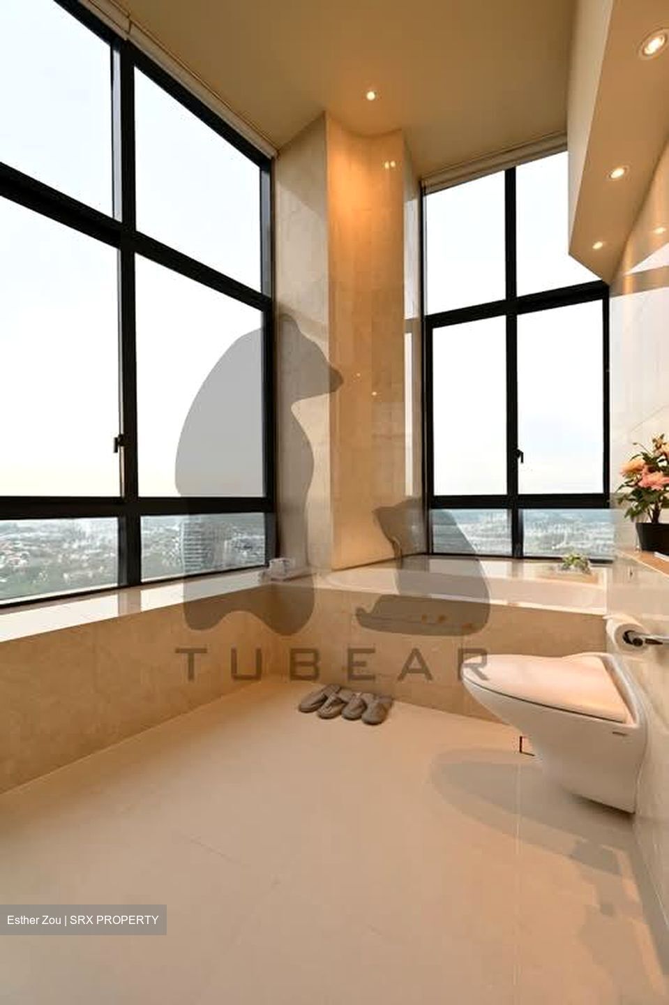 D'Leedon (D10), Condominium #535077171